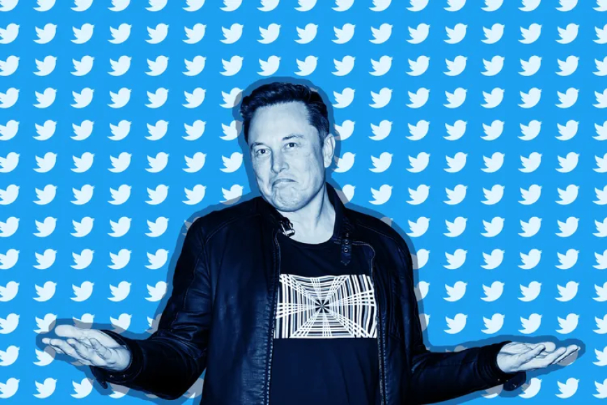 Directorii Twitter concediați îl dau în judecată pe Elon Musk pentru peste 128 de milioane de dolari