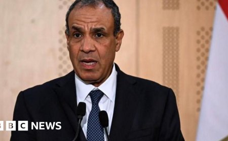 UK closes embassy in Cairo amid row over activist's arrest