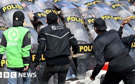 Indonesian politicians to have perks cut in bid to quell unrest