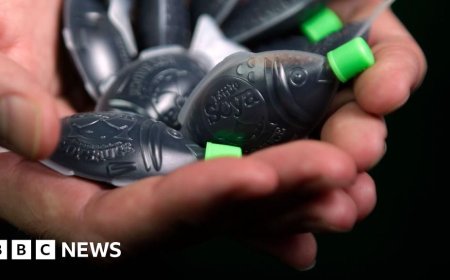 Australian state to ban iconic fish-shaped soy sauce bottles
