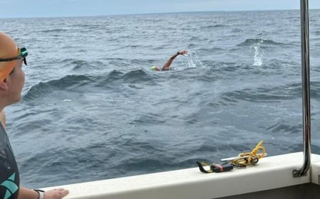Family of Edmund Fitzgerald's crew on hand as swimmers finish intended route to mark 50 years since sinking