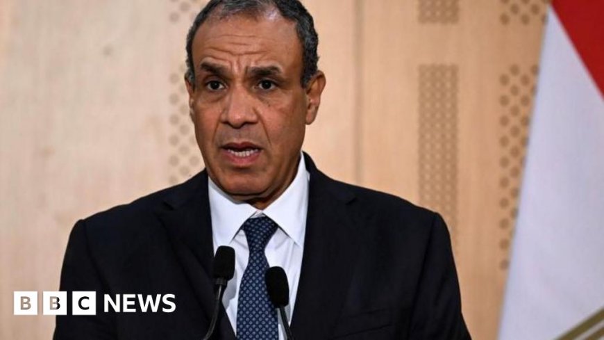 UK closes embassy in Cairo amid row over activist's arrest