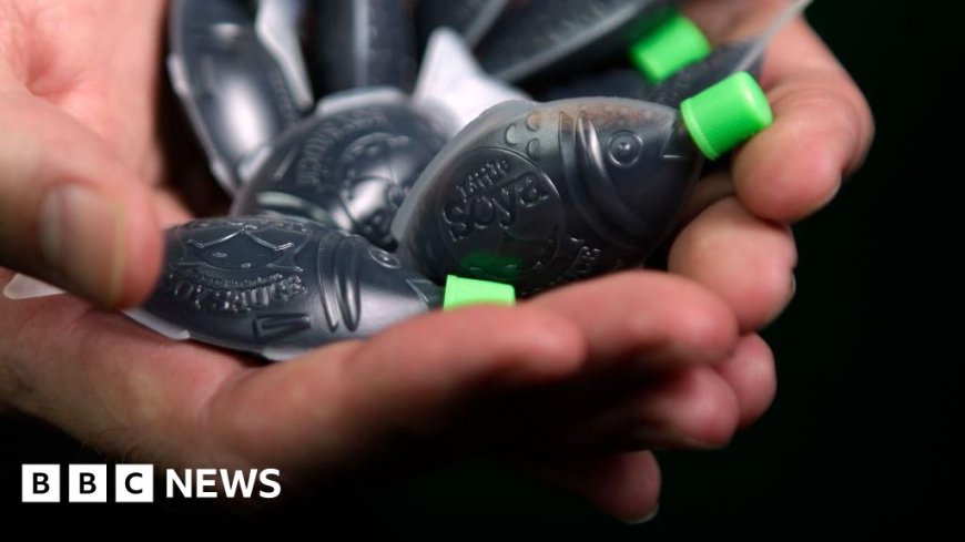 Australian state to ban iconic fish-shaped soy sauce bottles