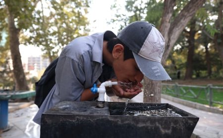 Iran’s 'water bankruptcy problem' is nothing new, says UN expert