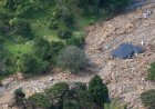 Authorities working to identify victims of landslide that hit New Zealand campground