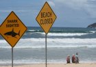 12-year-old boy dies after shark attack in Australia