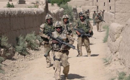 'Awful, despicable': Canadian veterans slam Trump's comments about NATO troops