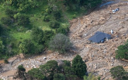 Authorities working to identify victims of landslide that hit New Zealand campground