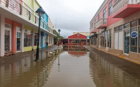 Netherlands must cut CO2 to protect Caribbean island of Bonaire, court rules