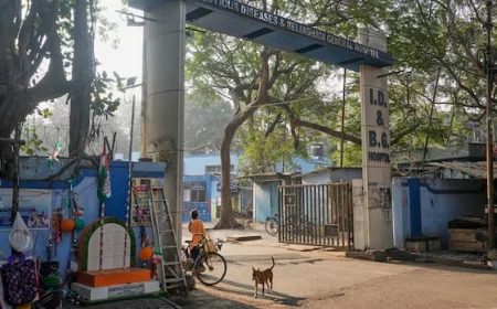 India reports 2 Nipah virus cases. What the infection is and how it spreads