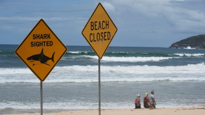 12-year-old boy dies after shark attack in Australia