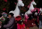 IN PHOTOS | Lunar New Year celebrations for the Year of the Horse