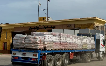 Rafah border crossing into Gaza opened for limited passage, Israel says