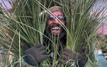 What it was like being a bushel of grass in Bad Bunny’s Super Bowl ‘field of dreams’