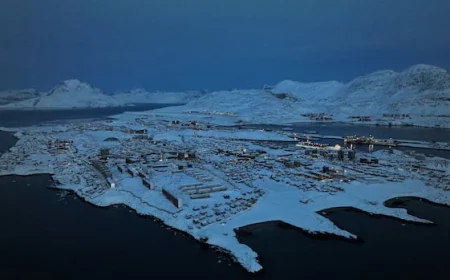 Canada, Denmark deepen defence ties after Greenland annexation threat