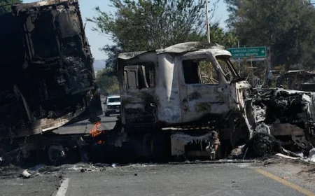 Mexico made 'high-risk bet' in taking down cartel boss El Mencho