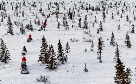 Delegates talk, rangers trek as interest in Arctic security grows