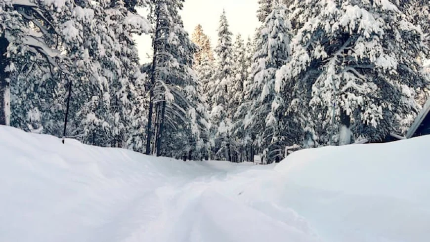 8 skiers found dead, 1 still missing in deadliest avalanche in Northern California in decades
