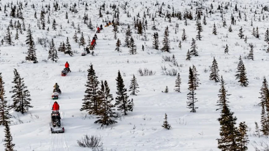Delegates talk, rangers trek as interest in Arctic security grows