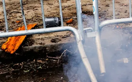 2 men accused of bringing explosives to weekend protest in New York inspired by ISIS: court complaint