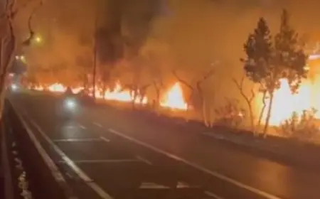 Fact check: Does this video show Tehran or L.A. fires?