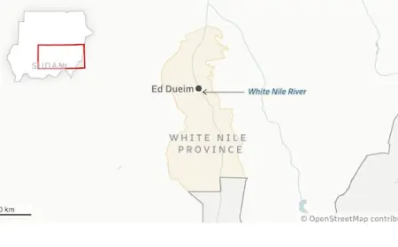 At least 17 killed after drone strikes school in Sudan