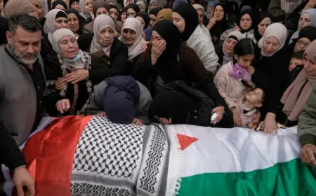 Israeli soldiers shoot at family car, killing 4, in occupied West Bank