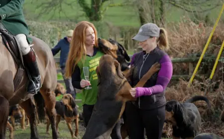 Enjoy fleeing bloodhounds? England has the sport for you