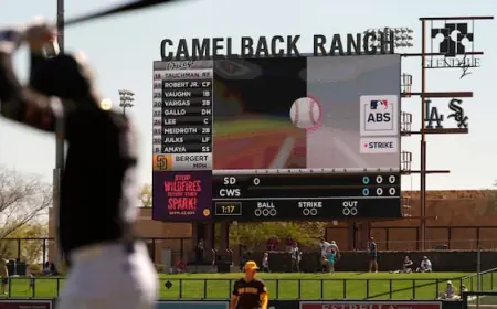 How Major League Baseball players can turn to a robot to challenge balls, strikes this year
