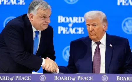 Trump administration doing all it can to get Hungary's Orban re-elected