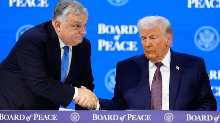 Trump administration doing all it can to get Hungary's Orban re-elected