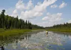 Trump OKs mining near Minnesota's Boundary Waters along Canadian border