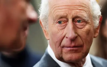 Virginia Giuffre's family 'strongly' urges King Charles to meet Epstein survivors during visit to U.S.