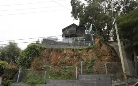 Police arrest suspect after Molotov cocktail thrown at home of OpenAI's Sam Altman