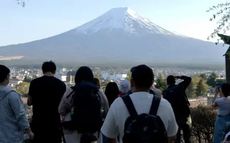 This Japanese town cancelled its cherry blossom festival to stop overtourism. It didn’t work
