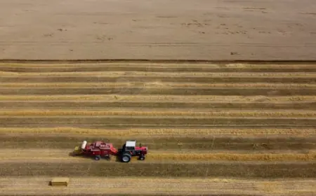 Is a global food crisis looming?