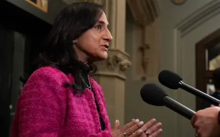 Ottawa has asked Israel to investigate Canadian's killing in Lebanon: Anand