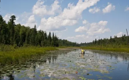 Trump OKs mining near Minnesota's Boundary Waters along Canadian border