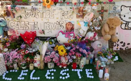 Prosecution alleges singer D4vd killed 14-year-old girl to silence her