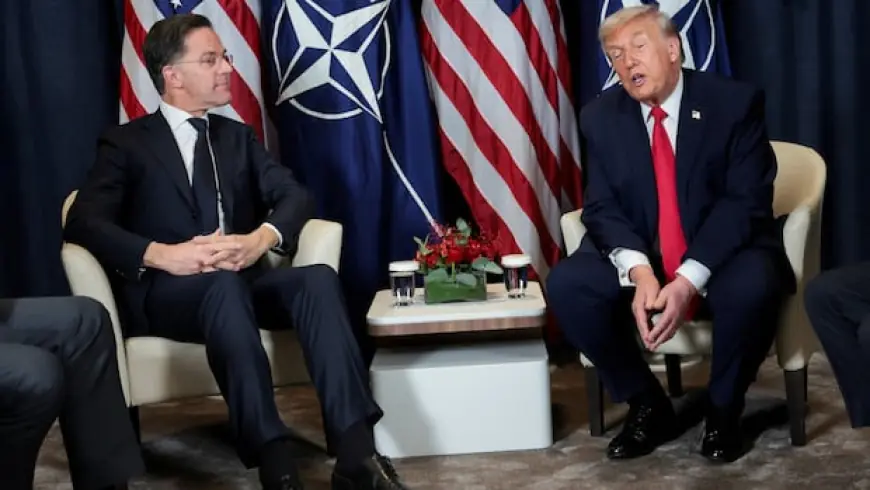 Trump rages, NATO endures: Why the alliance is harder to kill than it looks