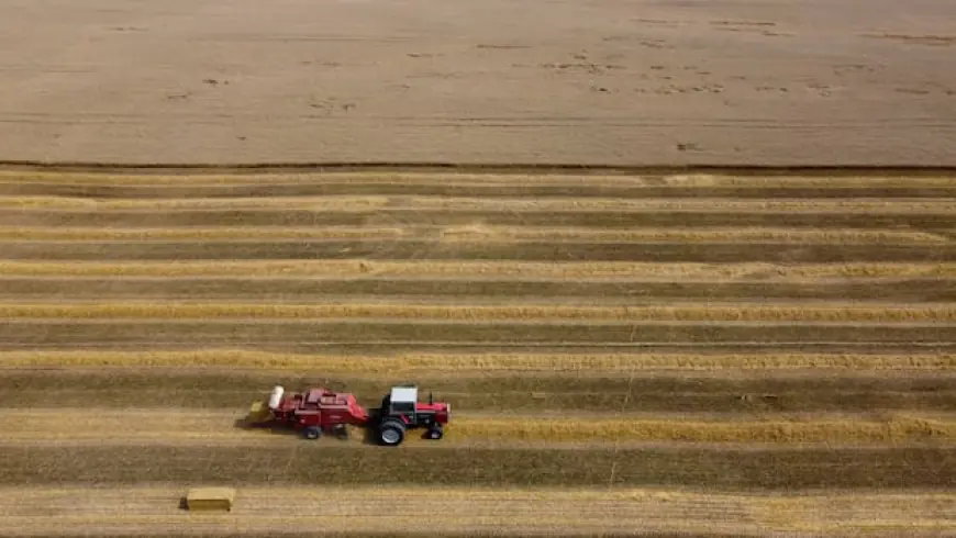 Is a global food crisis looming?