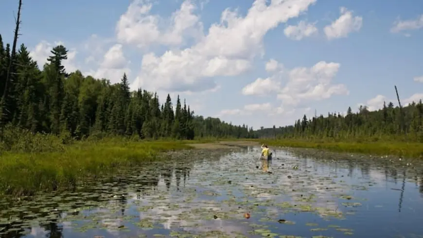 Trump OKs mining near Minnesota's Boundary Waters along Canadian border