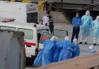 WHO confirms Andes strain of hantavirus in cruise ship passengers, with 3 transferred from ship for treatment