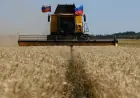 Grain dispute reveals bad blood between Ukraine and Israel