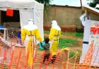 New Ebola outbreak confirmed in remote Congo province, with 65 deaths recorded