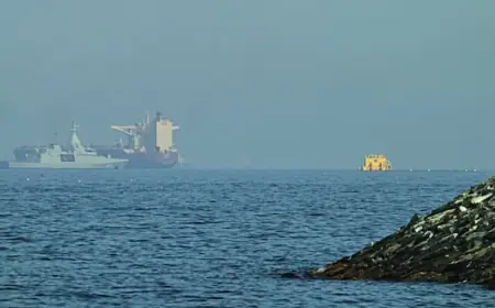 U.S. warns shipping firms they could face sanctions over paying Iran's Strait of Hormuz tolls