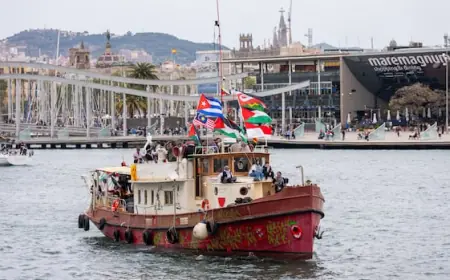 Two Canadians on aid boats intercepted by Israel have been released, organizers say