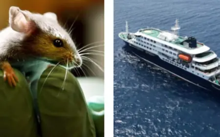Human-to-human transmission of killer hantavirus suspected in cruise ship outbreak