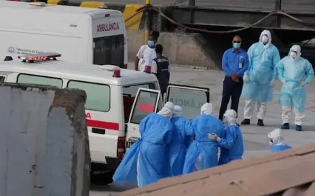 WHO confirms Andes strain of hantavirus in cruise ship passengers, with 3 transferred from ship for treatment