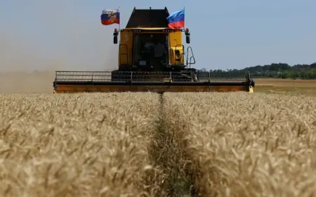 Grain dispute reveals bad blood between Ukraine and Israel